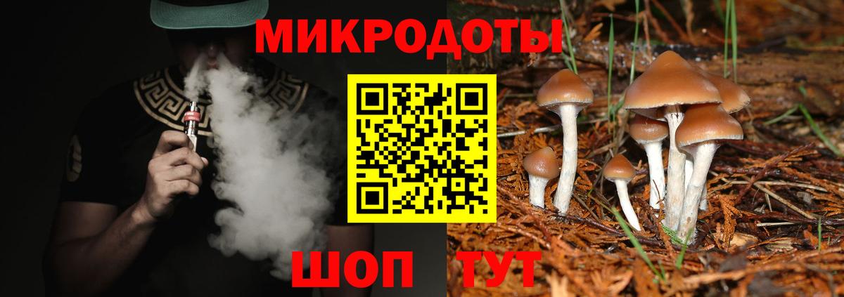 Галлюциногенные грибы Magic Shrooms Бугуруслан